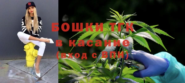 гашик Беломорск