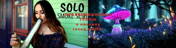 дживик Богородск