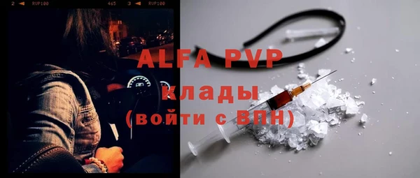 дживик Богородск