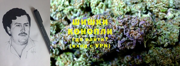 дживик Богородск