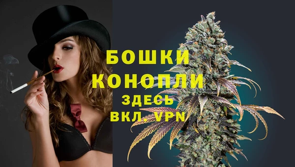 дживик Богородск