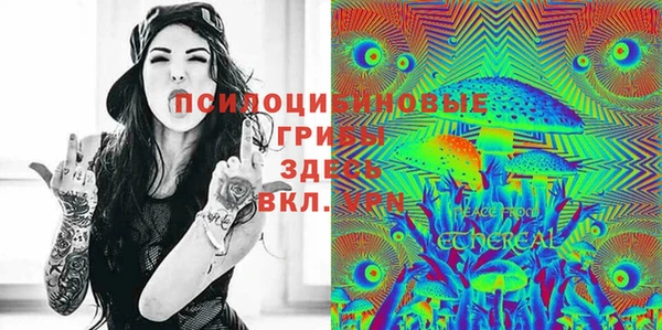 дживик Богородск