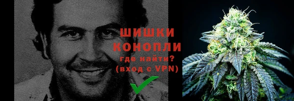 дживик Богородск